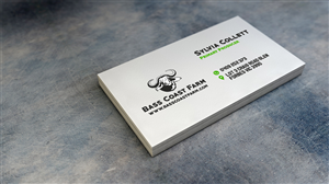 Business Card Design by Navz