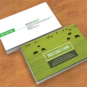 Business Card Design by laurenebf