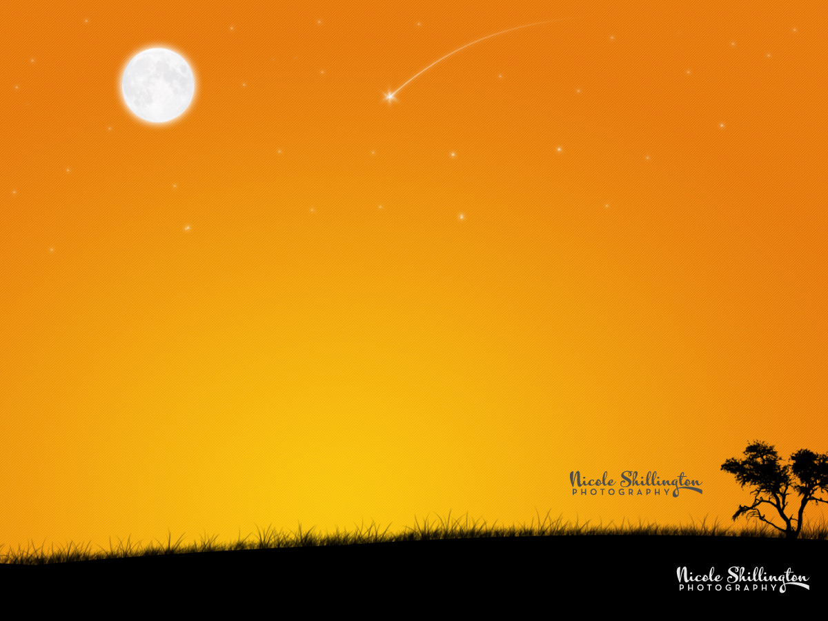 Diseño de Logo por Rejoy John para Nicole Shillington Photography | Diseño #286297