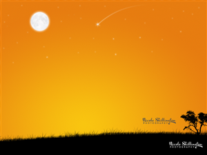 Logo Design by Rejoy John for Nicole Shillington Photography | Design: #286297