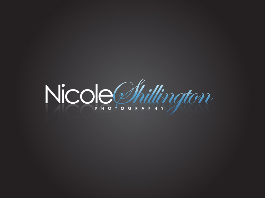 Logo Design by HyperTime Studio for Nicole Shillington Photography | Design #284878