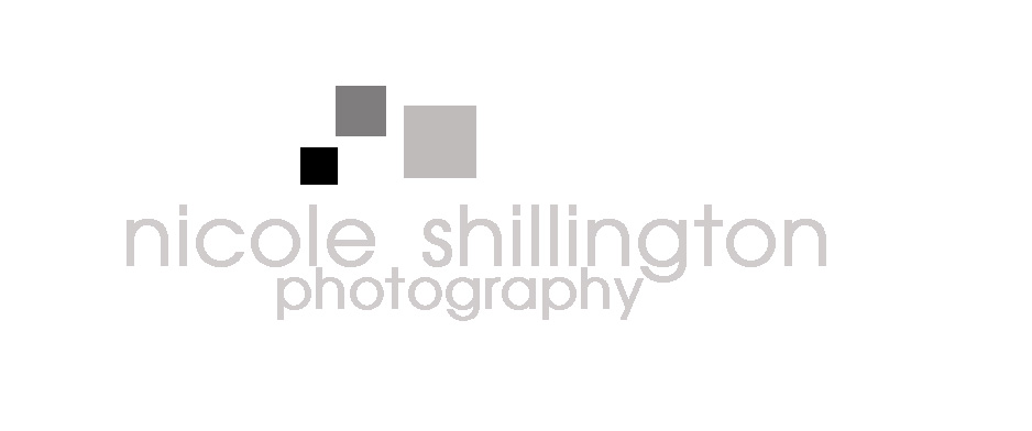 Logo Design by Ted  for Nicole Shillington Photography | Design #289901