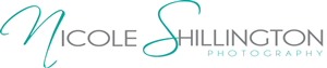Logo Design by Doherty Designs  for Nicole Shillington Photography | Design: #288249