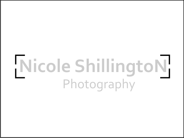 Logo Design by skidezign for Nicole Shillington Photography | Design #289429