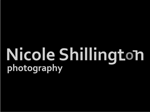 Logo Design by skidezign for Nicole Shillington Photography | Design: #289453