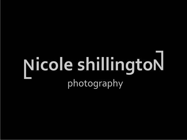 Logo Design by skidezign for Nicole Shillington Photography | Design #289455