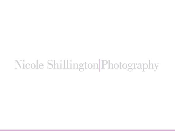 Logo Design by ran2x for Nicole Shillington Photography | Design #292460