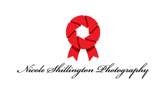 Logo Design by BunnyEgg Design Factory for Nicole Shillington Photography | Design #286971