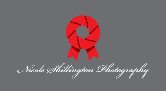 Logo Design by BunnyEgg Design Factory for Nicole Shillington Photography | Design #286973