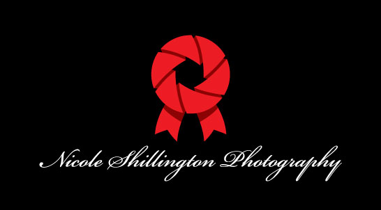Logo Design by BunnyEgg Design Factory for Nicole Shillington Photography | Design #286974