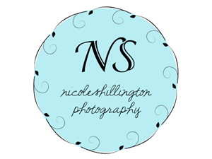 Logo Design by paperlovesink for Nicole Shillington Photography | Design: #286521