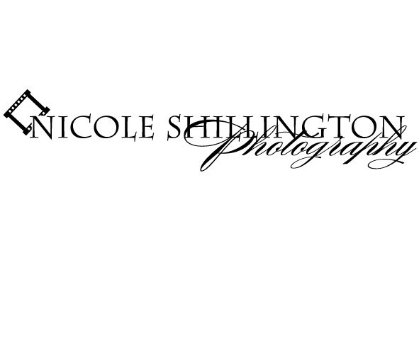 Diseño de Logo por paulkwas1 para Nicole Shillington Photography | Diseño #286493