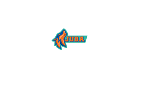 Logo Design by Seamus Radu for Volleyball Bowen | Design: #5541684