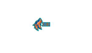 Logo Design by Seamus Radu for Volleyball Bowen | Design: #5541686