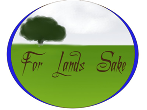 Logo Design by caiobaby666