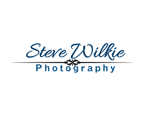 Logo Design by DjRazor