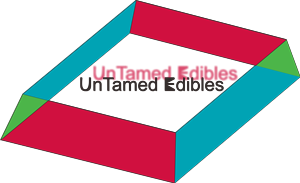 Logo Design by Toni Setiawan