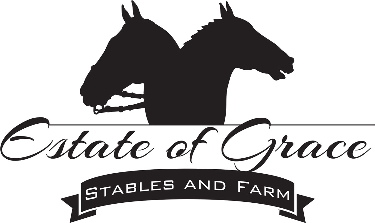 Logo Design by Lance Palmer for this project | Design #5522134