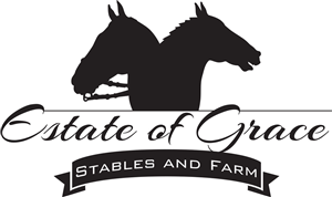 Logo Design by Lance Palmer for this project | Design #5522134