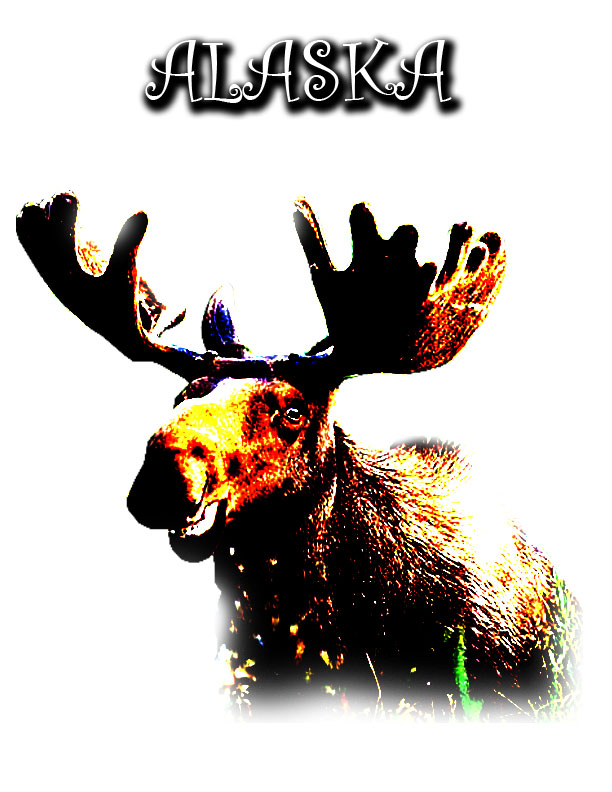 T-shirt Design by Miss. Lacy for this project | Design #301378