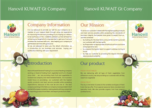 Design de Brochure par Einder pour Hanovil Kuwait | Design : #5591853