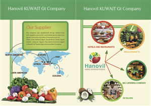 Design de Brochure par Einder pour Hanovil Kuwait | Design : #5591856