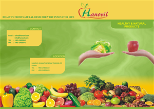 Design de Brochure par Design_Den pour Hanovil Kuwait | Design : #5570918