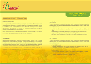Design de Brochure par Design_Den pour Hanovil Kuwait | Design : #5571133
