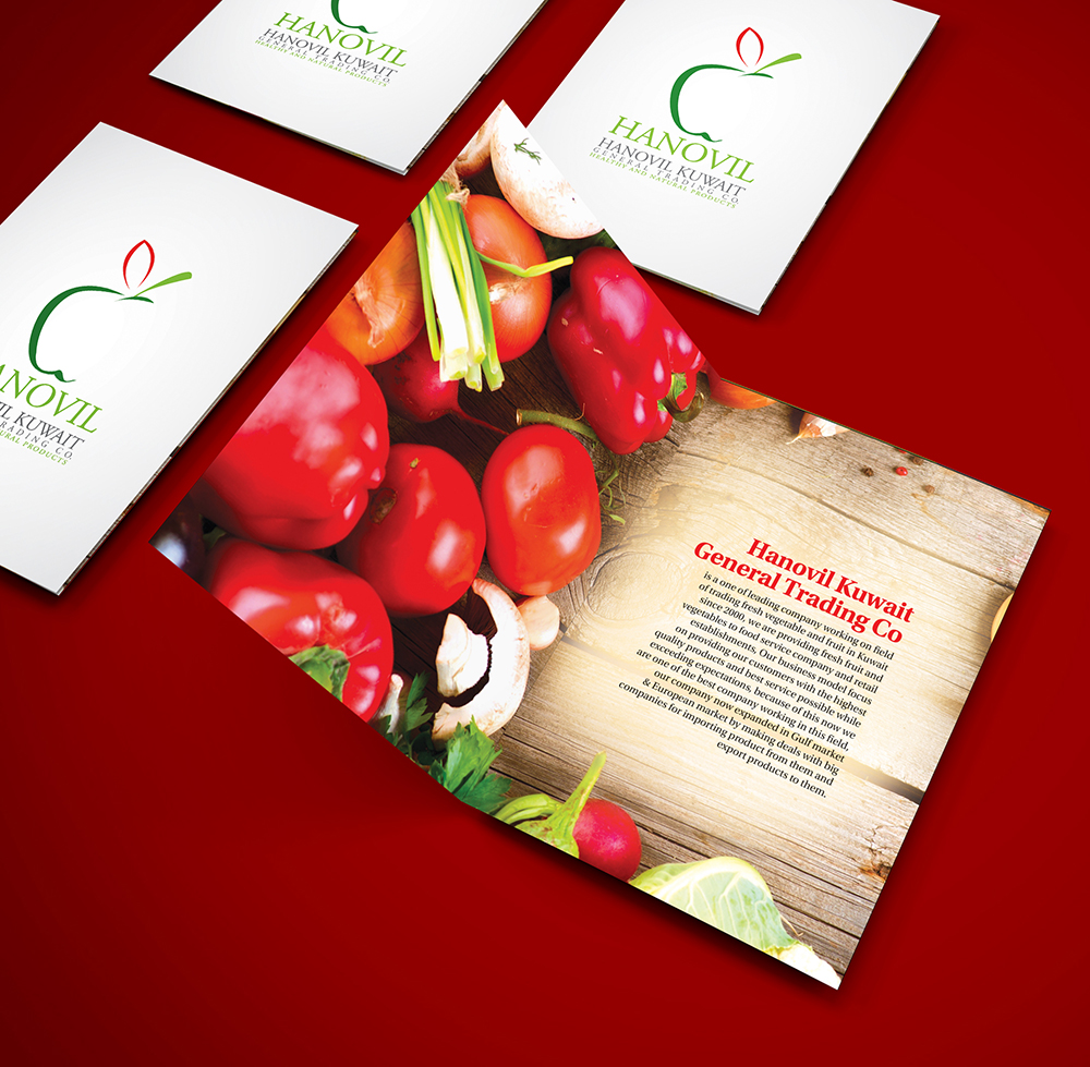 Design de Brochure par Jeeta pour Hanovil Kuwait | Design : #5811742