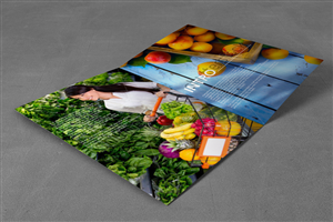 Design de Brochure par barinix pour Hanovil Kuwait | Design : #5787500