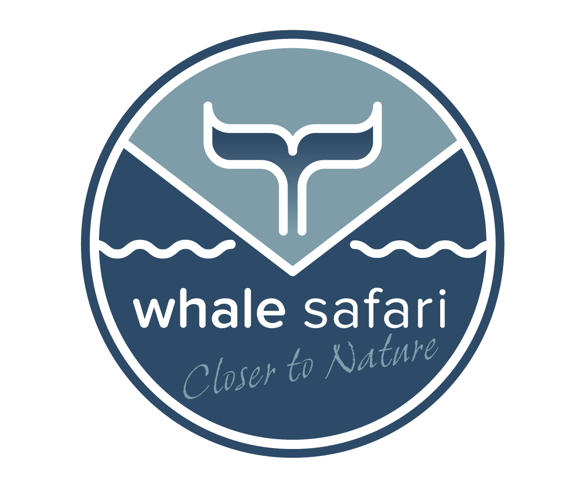 Logo Design by MagicM for Farvegur Travel Investments | Design #5561228