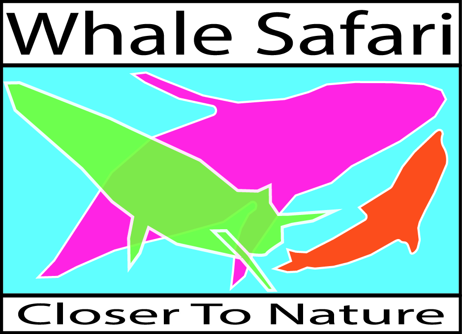 Logo Design by southeasterstarz for Farvegur Travel Investments | Design #5567293