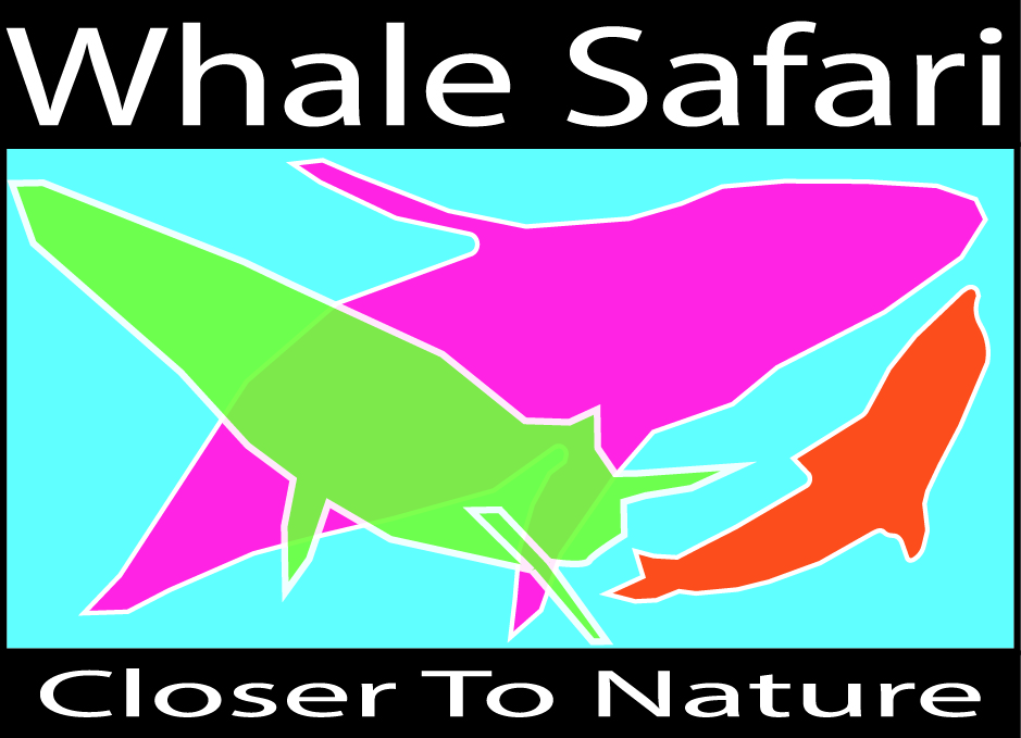 Logo Design by southeasterstarz for Farvegur Travel Investments | Design #5567313