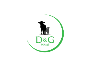 Logo Design by LittleDesign for this project | Design: #5554437