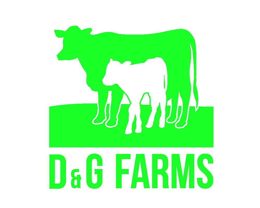 Logo Design by MindIt for this project | Design #5553068