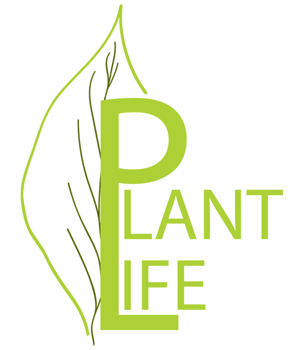 Logo Design by Tawnia Jo for this project | Design #5521897