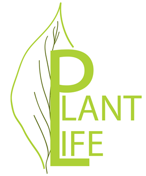 Logo Design by Tawnia Jo for this project | Design: #5521897