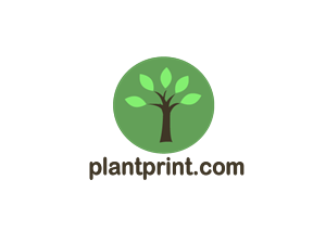 Logo Design by BC Designs