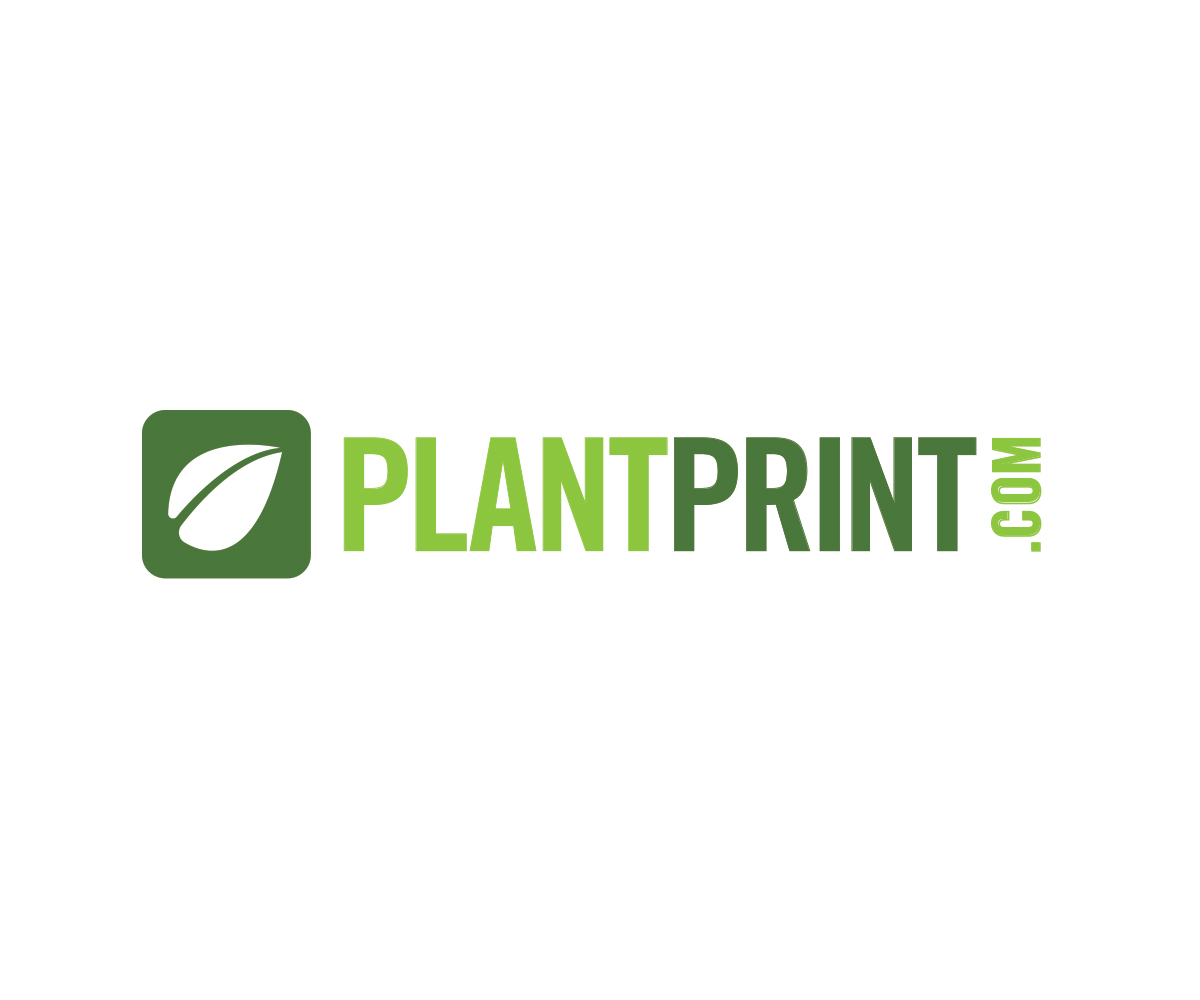 Logo-Design von JoGraphicDesign für dieses Projekt | Design #5560686