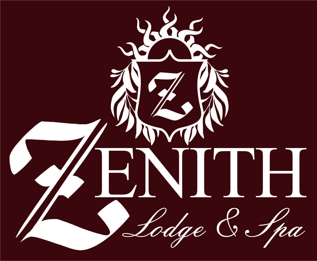 Logo Design by Kyanite Designs for Web Genius | Design #5523277