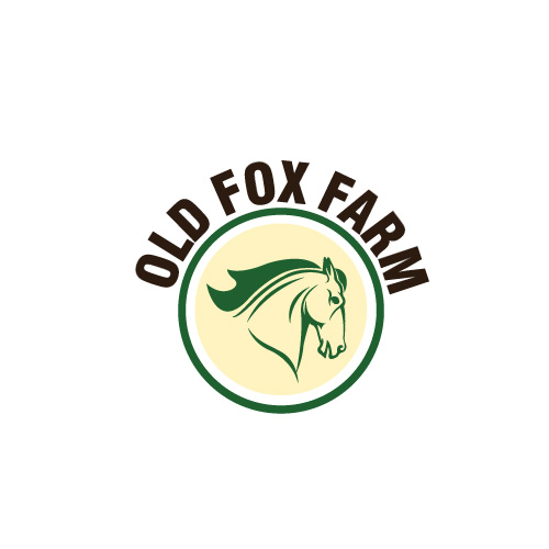 Logo Design by Himanshi10 for this project | Design #5524518