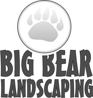 Logo Design by acinger