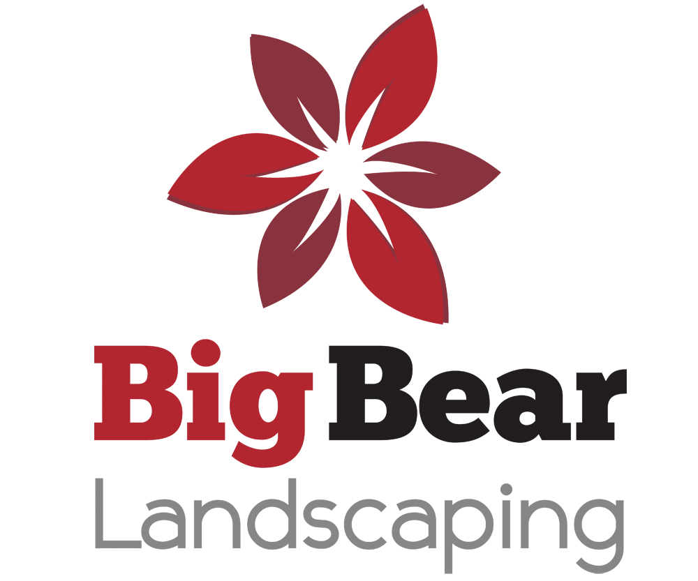 Logo Design by andreaferreirapayares 2 for Big Bear Landscaping | Design #5523733
