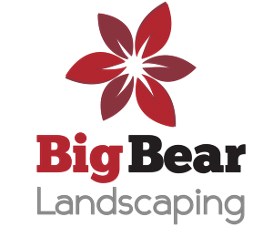 Logo Design by andreaferreirapayares 2 for Big Bear Landscaping | Design: #5523733