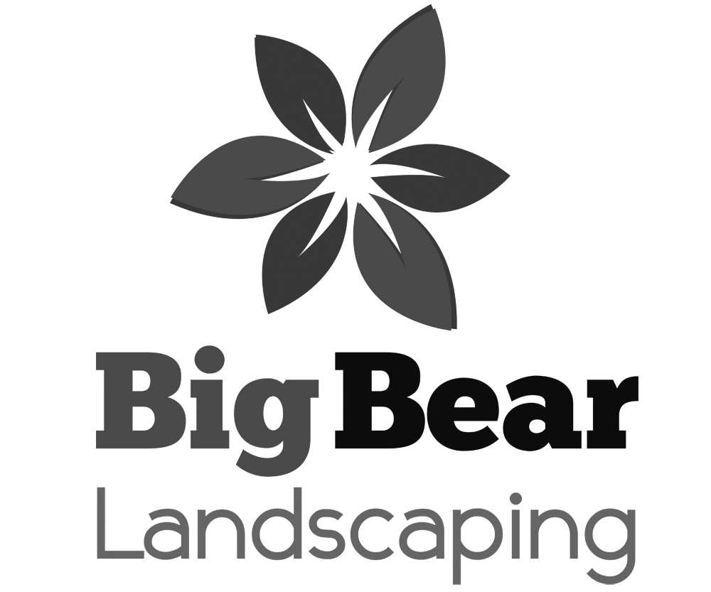 Logo Design by andreaferreirapayares 2 for Big Bear Landscaping | Design #5523734