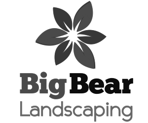 Logo Design by andreaferreirapayares 2 for Big Bear Landscaping | Design: #5523734