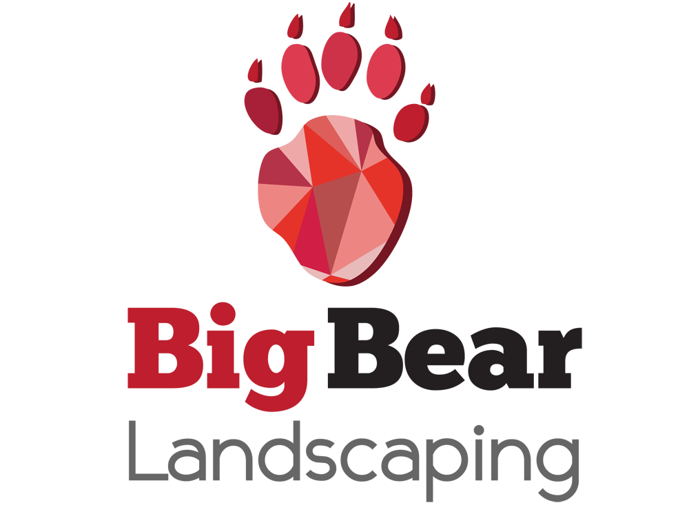 Logo Design by andreaferreirapayares 2 for Big Bear Landscaping | Design #5533961