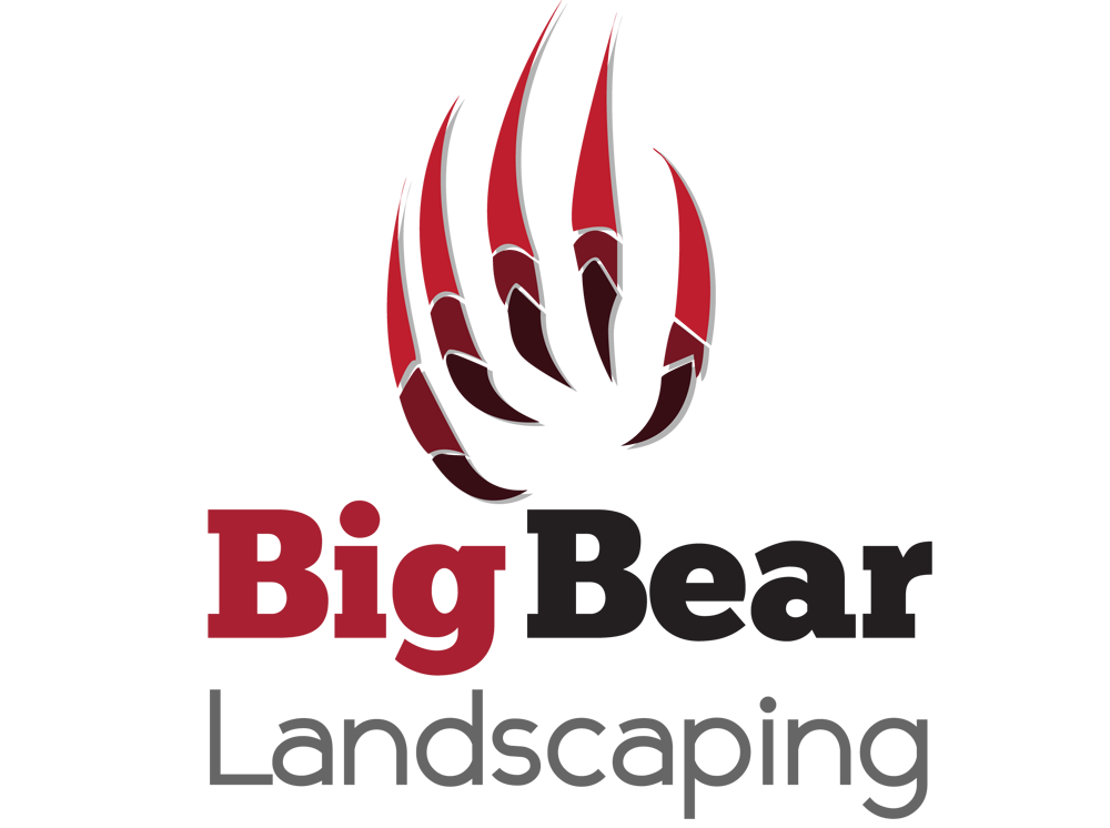Logo Design by andreaferreirapayares 2 for Big Bear Landscaping | Design #5533990