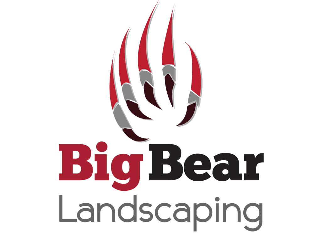 Logo Design by andreaferreirapayares 2 for Big Bear Landscaping | Design #5533998