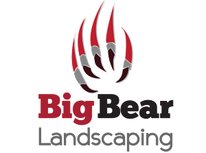 Logo Design by andreaferreirapayares 2 for Big Bear Landscaping | Design: #5533998